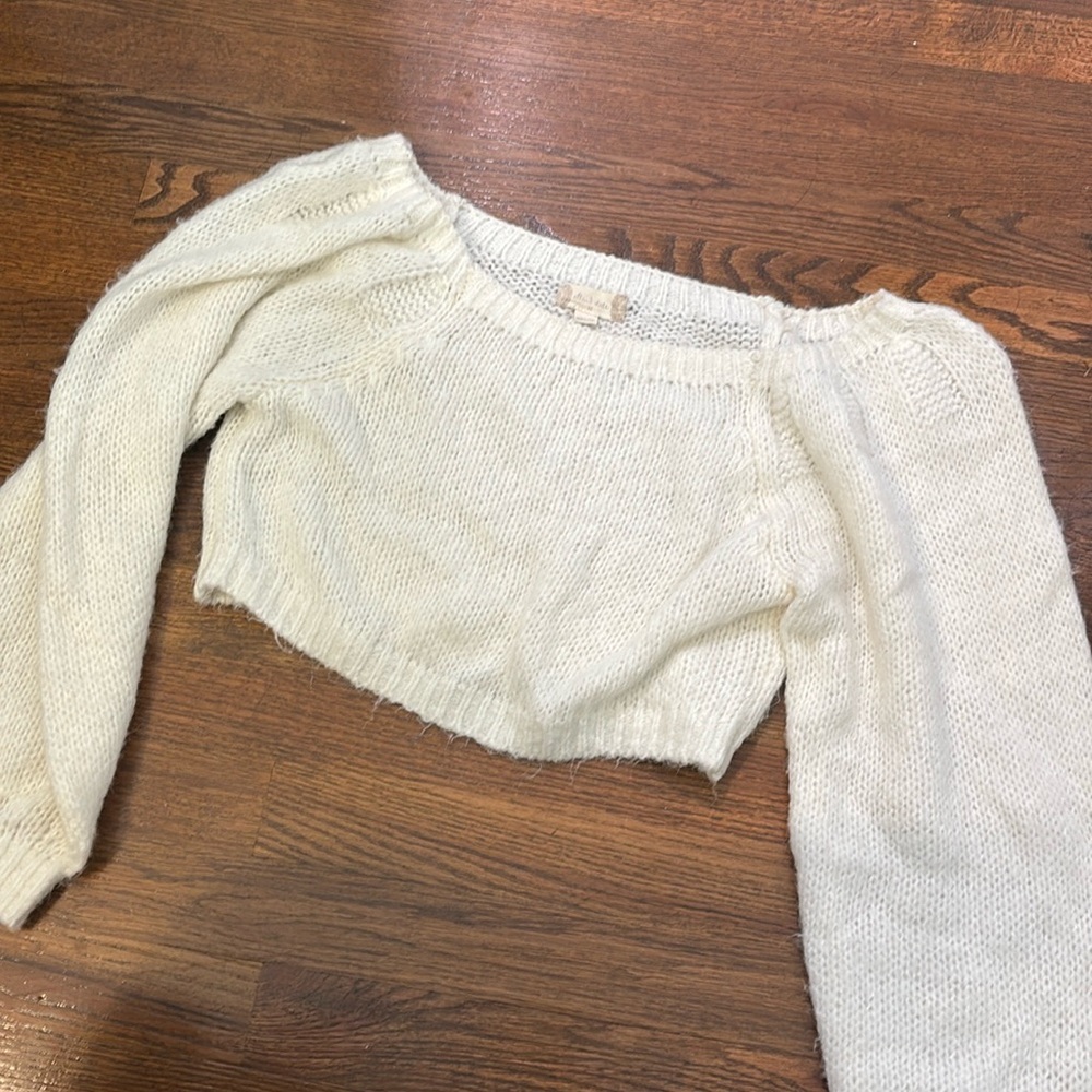 Alter state sweater crop
